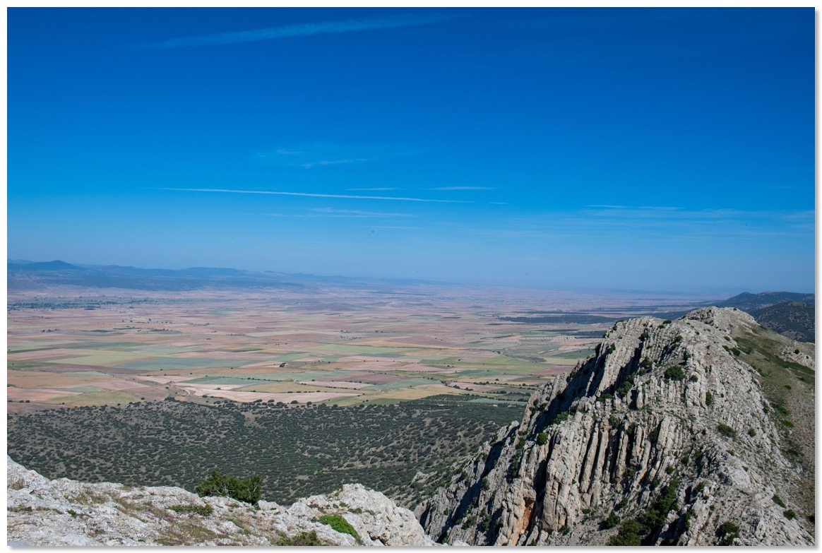 Palomera-14